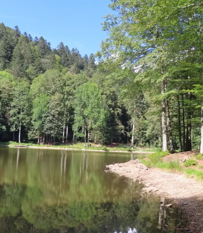 Auxelles-Haut