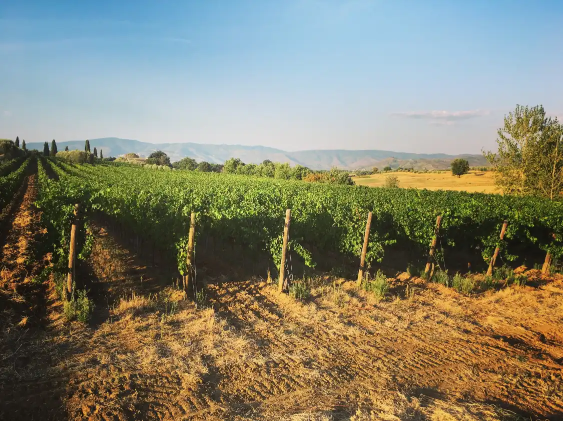 Hotel in zona Iviti Winery