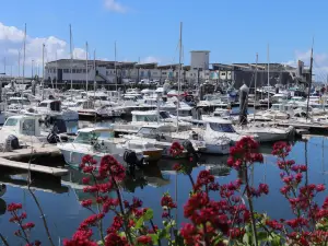 Marina of La Turballe