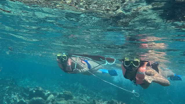 Zona de Snorkel Mahahual