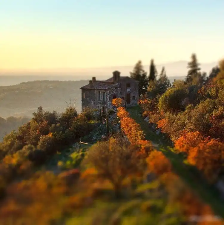 Hotels in Poggio Catino