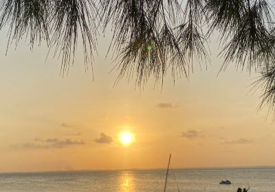 Zanzibar Bella Vista tours