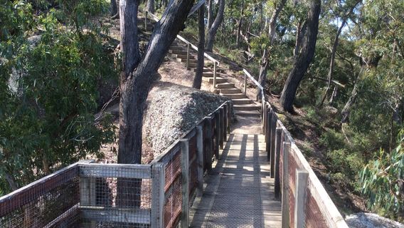 Peterson's Lookout