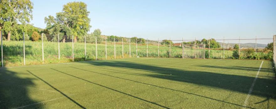 Stadion Milesti