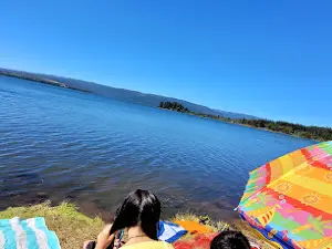 CAMPING 2 ARAUKARIA