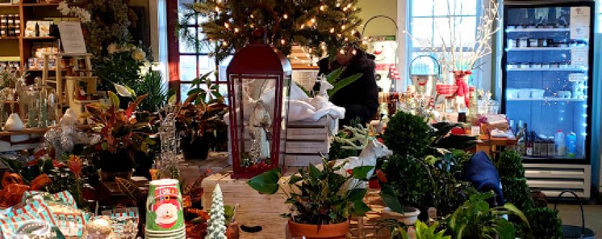 Shade Trees Nursery Inc.