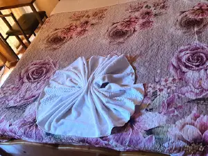 Jimma Central Hotel - ጂማ ሴንትራል ሆቴል