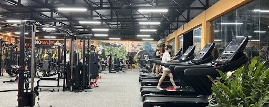 Shark Gym