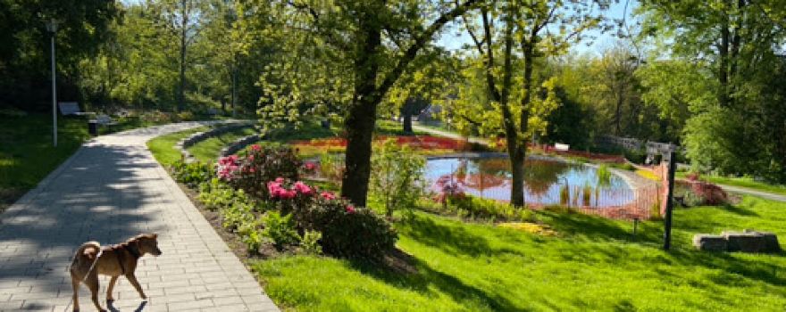 Kurpark
