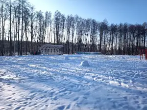 Tsentr Fizicheskoy Kul'tury I Sporta "Dubrava"