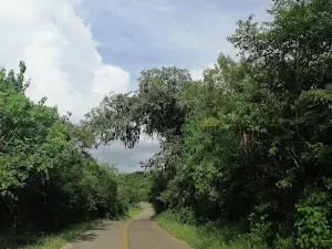 Gloria Garden