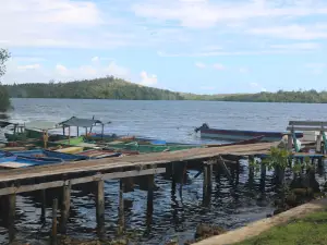 Wisata Mangrove Desa Kacepi