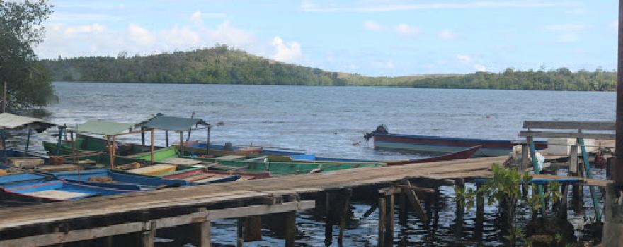 Wisata Mangrove Desa Kacepi