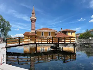 Asker Balıkları