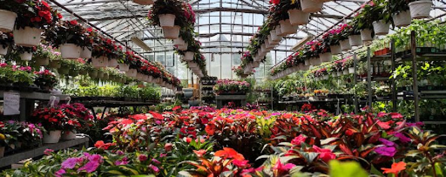 Westminster Nursery & Garden Center