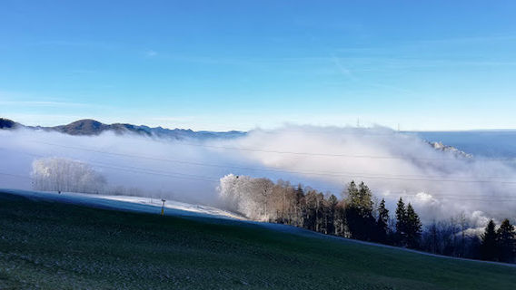 Gosgen District