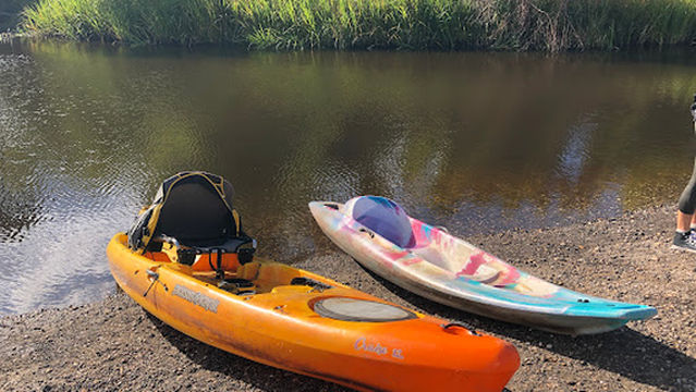 Wild Louisiana Kayak Swamp Tours