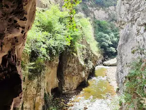 Bear Path