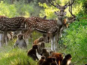 Southern National Park