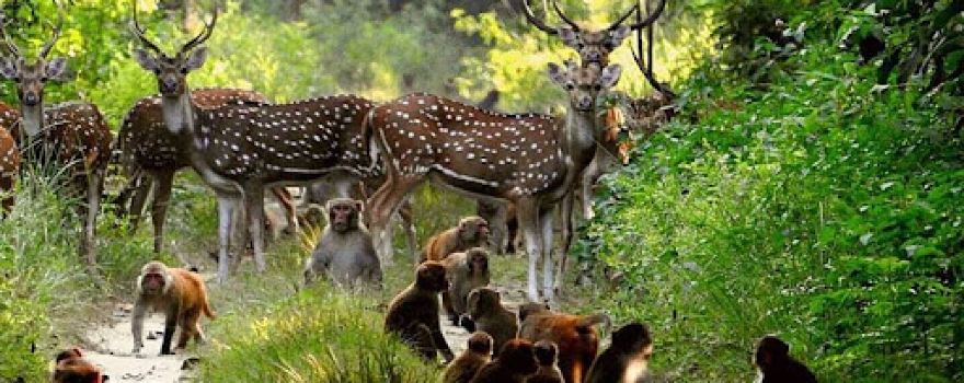 Southern National Park