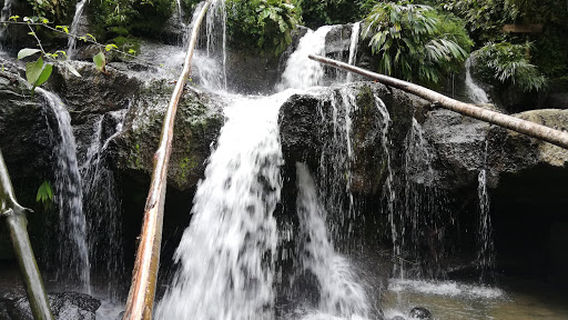 Cascada pimpillitu
