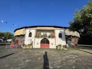 Les Arènes