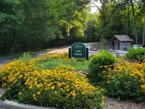 Lily Pond, Mill Creek Park