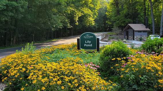 Lily Pond, Mill Creek Park