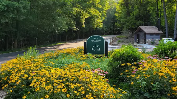 Lily Pond, Mill Creek Park