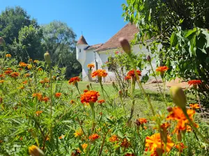 Castelul Dániel din Vârghiş