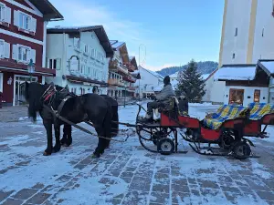 steidl.reisen GmbH & Co. KG