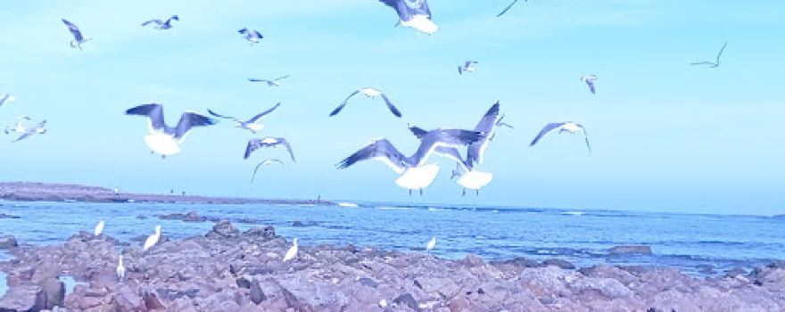 Plage Elamirates
