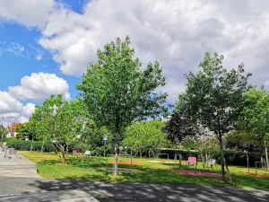Peoples Park ("Bürgerpark")