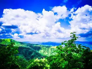 Bardharya Waterfall बारधाऱ्या धबधबा