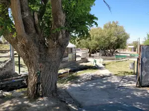 Camping Puelén