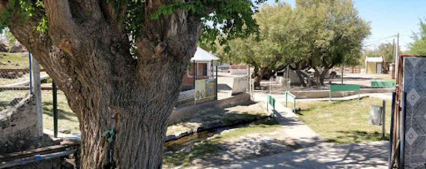 Camping Puelén