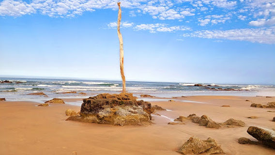 Goukamma Nature Reserve