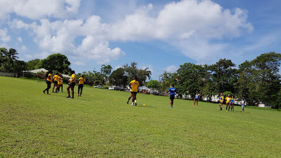 Cricket Grounds