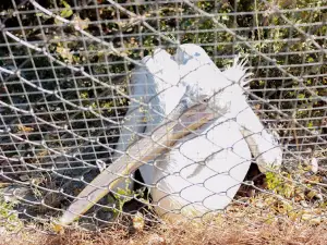 Zoo