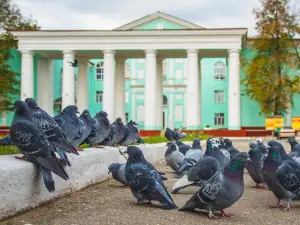 Сафоновский Городской Культурный Центр