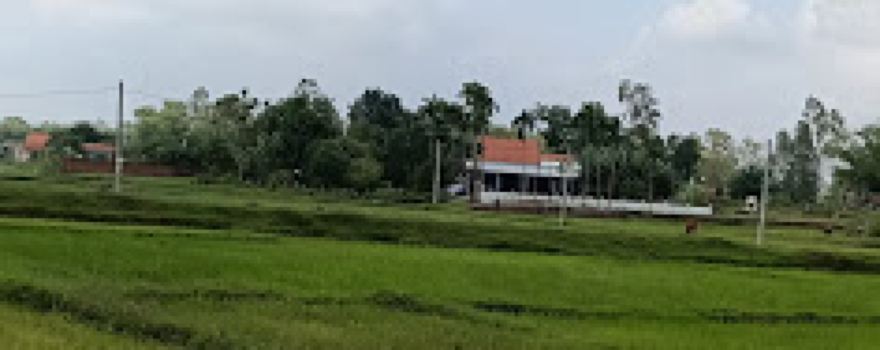 Nhà Thờ Nguyễn Trường Tộc