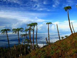 Mount Binaiya