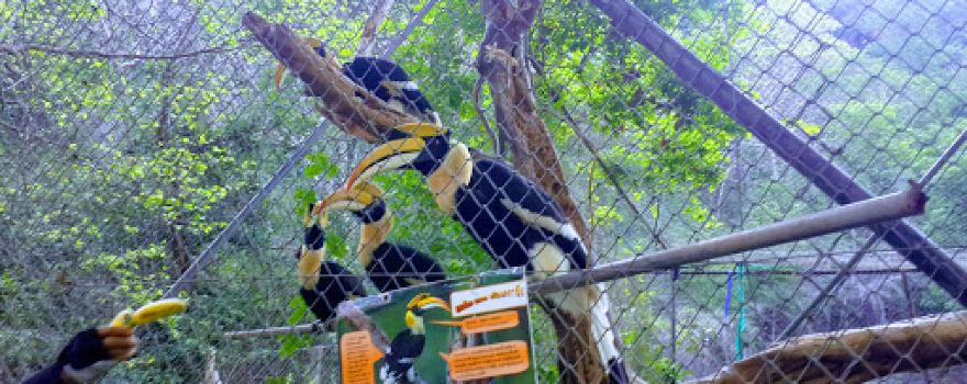 Khao Prathap Chang Wildlife Center