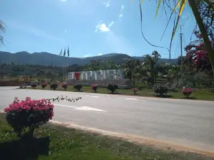 Amo Taparuba