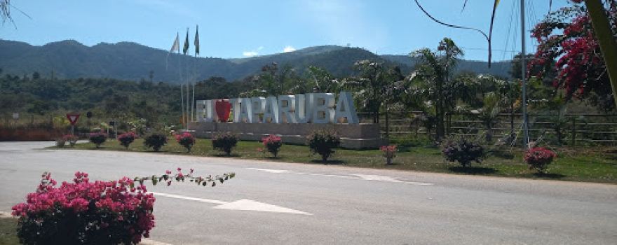 Amo Taparuba