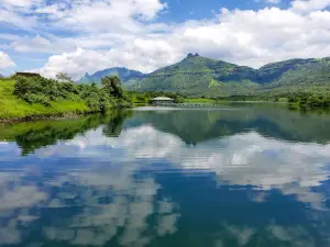 Morbe dam