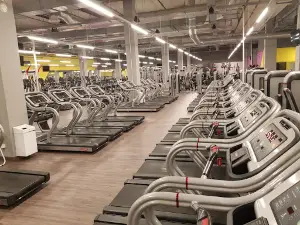 StepONE Fitness - Piotrków Trybunalski