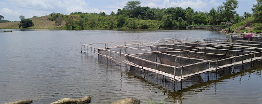 Danau asmara gemiung