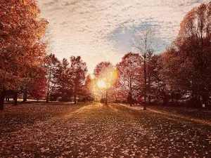 가버 공원
