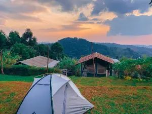 Ruhija Gorilla Friends Resort Campsite